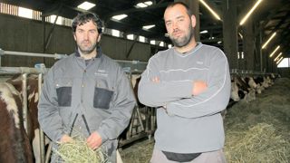 « Nous avons fait des nouveaux cahiers des charges de nos AOP une opportunité pour modifier notre système et construire un bâtiment », commentent Nicolas et Jean-François Cussac.© M.R.-M. « Nous avons fait des nouveaux cahiers des charges de nos AOP une opportunité pour modifier notre système et construire un bâtiment », commentent Nicolas et Jean-François Cussac.© M.R.-M.