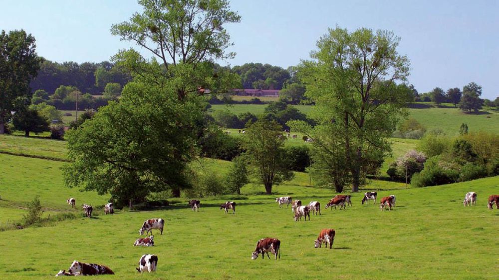 © STÉPHANE LEITENBERGER