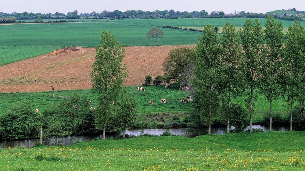 L'administration a calculé des références départementales d'apport d'azote qui risquent de figer les exploitations.© CHRISTIAN WATIER