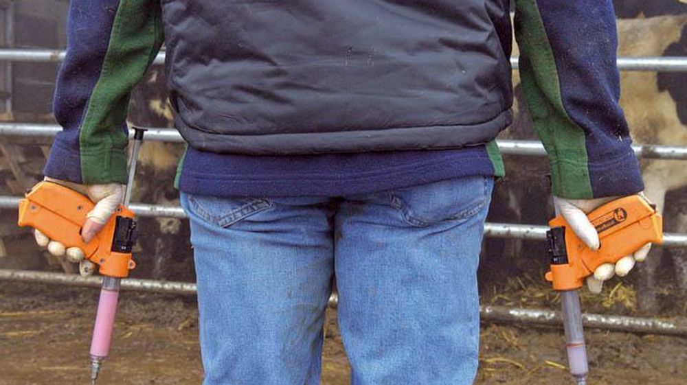 Un protocole dérogatoire est proposé à ceux qui refusent le vaccin. Il sera à la charge des éleveurs.© STÉPHANE LEITENBERGER