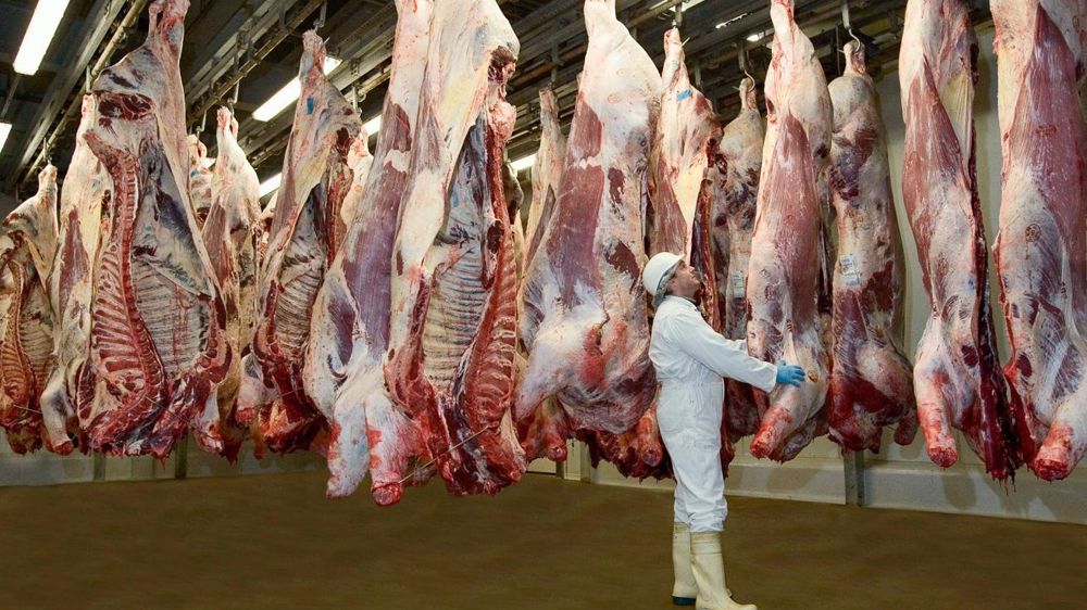 À terme, l'évolution de la demande vers des produits de gamme inférieure, de type steak haché, devrait faciliter l'écoulement des réformes laitières.© CLAUDIUS THIRIET