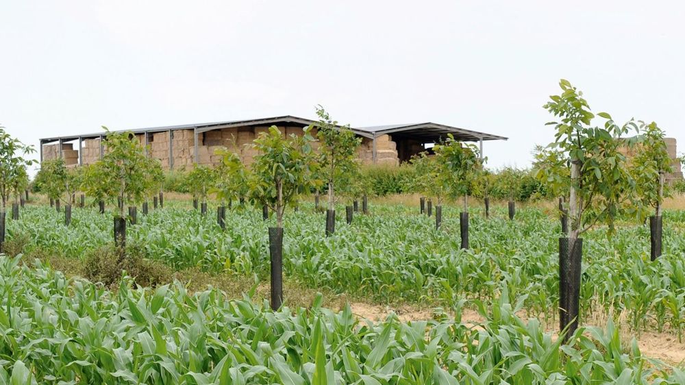 © PHILIPPE MONTIGNY/FILIMAGES