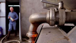 En Haute-Loire, l'URCVL collecte près de 40 % du lait. En Haute-Loire, l'URCVL collecte près de 40 % du lait.