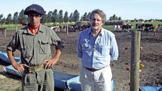 Comme beaucoup de ceux qui possèdent un troupeau important, Marcelo Grether (à droite, ici avec son employé), a adopté un système semi-intensif, complémentant plus ses animaux et s'appuyant sur 50 ha de maïs-ensilage. Comme beaucoup de ceux qui possèdent un troupeau important, Marcelo Grether (à droite, ici avec son employé), a adopté un système semi-intensif, complémentant plus ses animaux et s'appuyant sur 50 ha de maïs-ensilage.