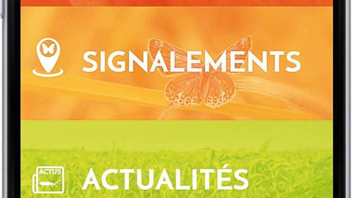 Geoinsecta, application mobile disponible gratuitement sur Apple Storeet Google Play Store.