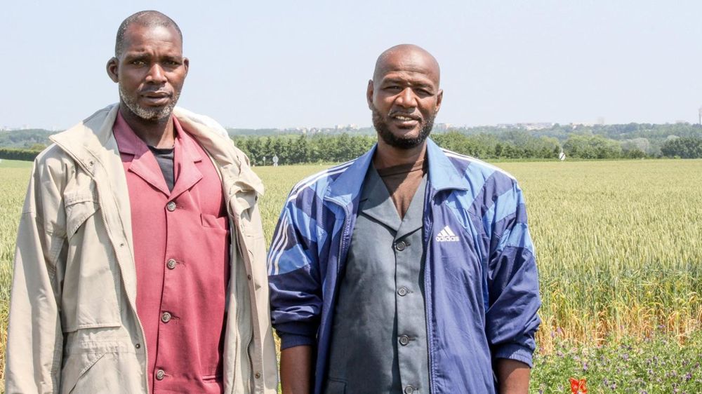 Nianklé Coulibaly et Soumaïla Camara, le 11 juin près de Caen : « À Bamako, la demande en lait est en hausse, avec des besoins toute l'année. Le prix du lait est attractif, entre 400 et 450 €/1 000 l. »© C..M.