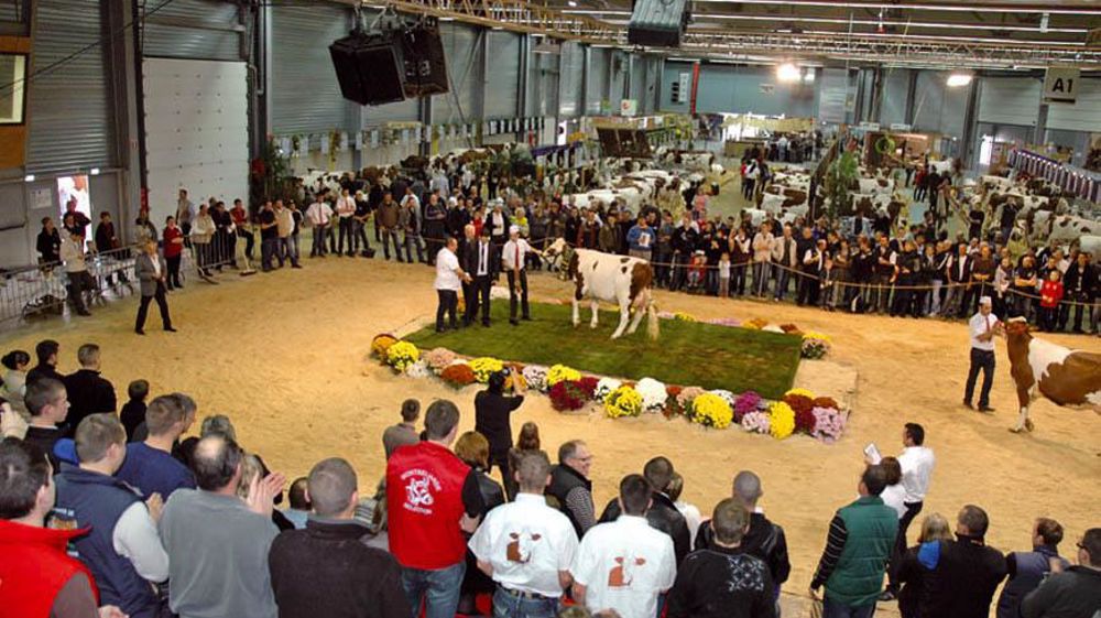 © JEAN-MICHEL VOCORET