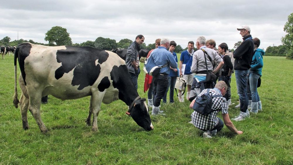 Les visites d'élevages aident les étrangers à comprendre la logique des fermes françaises.© P.LC.