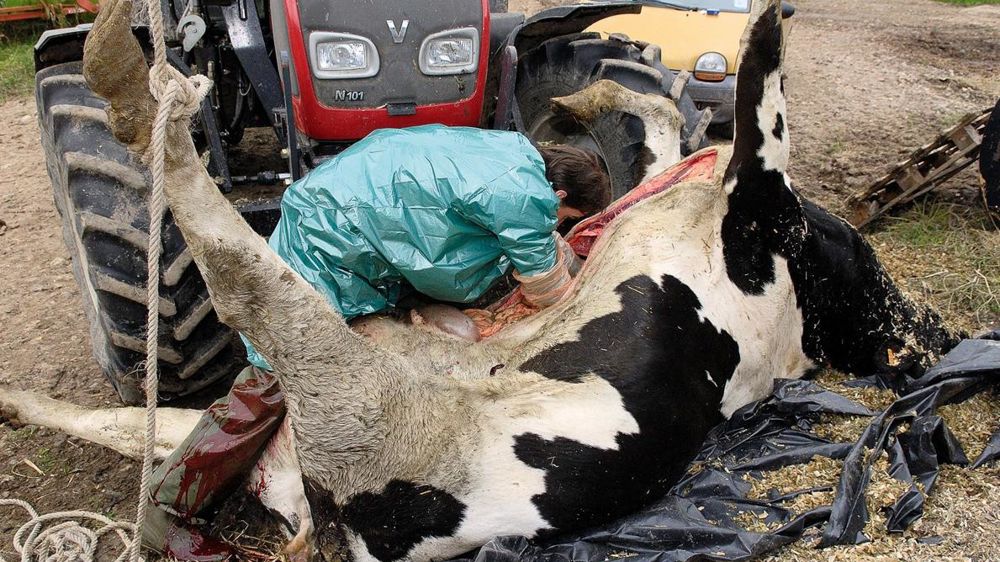 © STÉPHANE LEITENBERGER