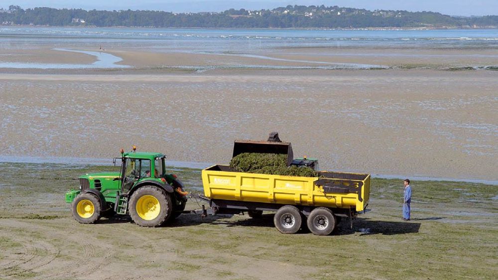 Si le plan gouvernemental prévoit le ramassage des algues, il met surtout l'accent sur la réduction des flux d'azote.© STÉPHANE LEITENBERGER