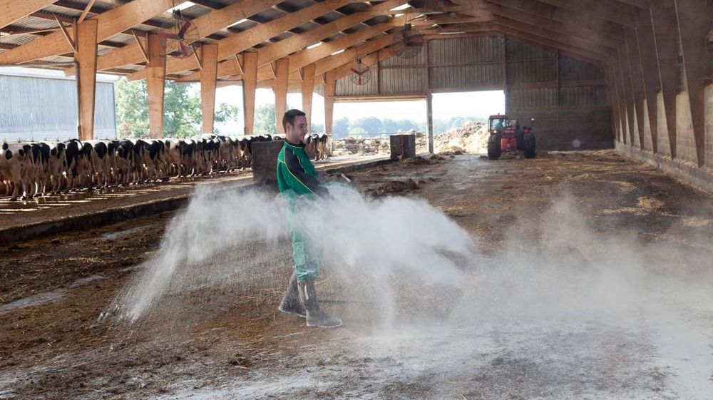 Si les éleveurs portent de plus en plus des équipements de protection à l'utilisation des pesticides, ce n'est pas le cas lorsqu'ils ont recours à un insecticide sur animaux ou en bâtiment, ou qu'ils désinfectent celui-ci. © CHRISTIAN WATIER