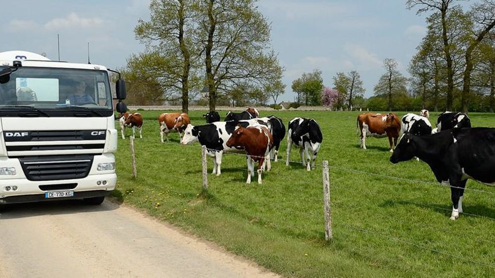 © STÉPHANE LEITENBERGER