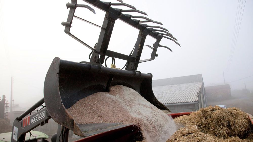 Un levier important est de s'assurer de l'efficacité économique des concentrés distribués.© SÉBASTIEN CHAMPION 