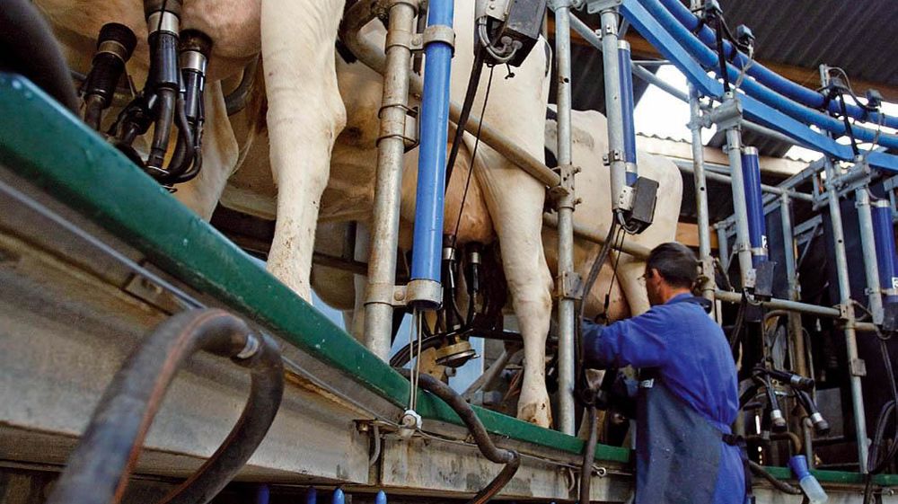 © SÉBASTIEN CHAMPION