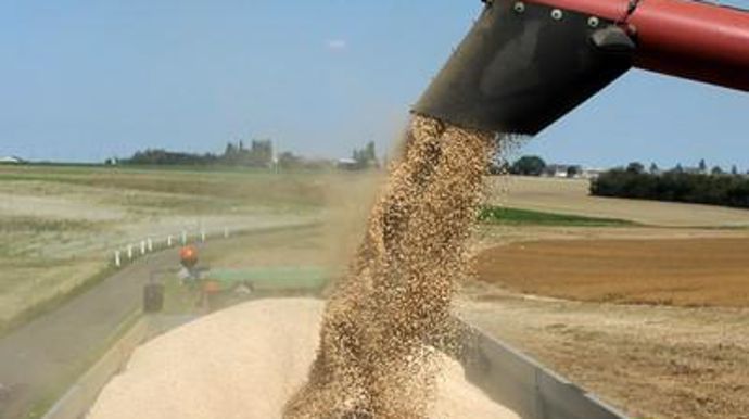 Les rendements de 42 q/ha en pois en 2012 ont pu être permis, en partie, grâce à une bonne protection phyto.P. MONTIGNY