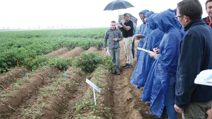 Yves Besnard, à Mesnil-Saint-Nicaise (Somme), présente la techniquedu broyage qui permet de détruire 90 % des feuilles et 75 à 80 % des tiges : « Nous testons la combinaison du défanage mécanique et chimique. »B. CAILLIEZ