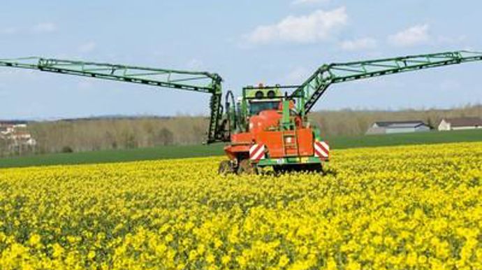 Une floraison exceptionnellement longue a incité au développement de stratégies à deux traitements à ce stade.P. GLEIZES