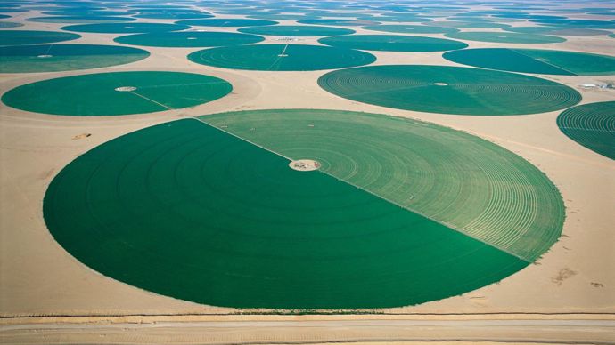 G. STEINMETZ/CORBIS