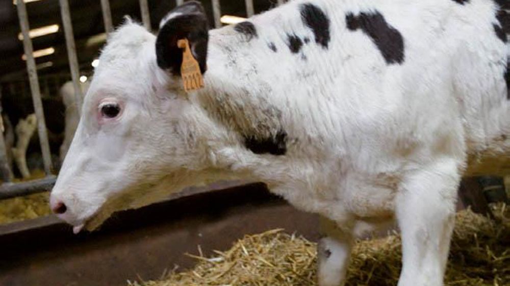 Les fonds de mutualisation indemniseront les pertes économiques subies en cas de crise sanitaire.© CLAUDIUS THIRIET