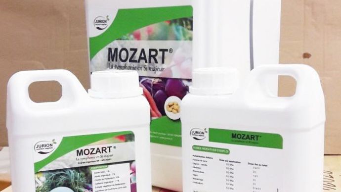 Mozart, à base de silicium, de Jurion.