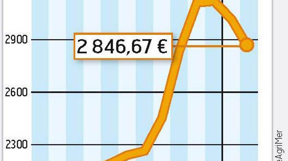 COMMENT INTERPRÉTER CES GRAPHIQUES ? - La courbe verte correspond à un prix moyen du lait en France. En janvier 2010, l'estimation d'Atla (Association des transformateurs de lait) l'établit à 290 €/1 000 l. La courbe jaune correspond à la valorisation en beurre et poudre d'un litre de lait collecté. En moyenne, sur le mois de janvier, Atla estime qu'elle est à 263 €/1 000 l. La zone beige ou verte représente le différentiel entre ces deux prix. Pour le mois de janvier, la valorisation beurre-pou