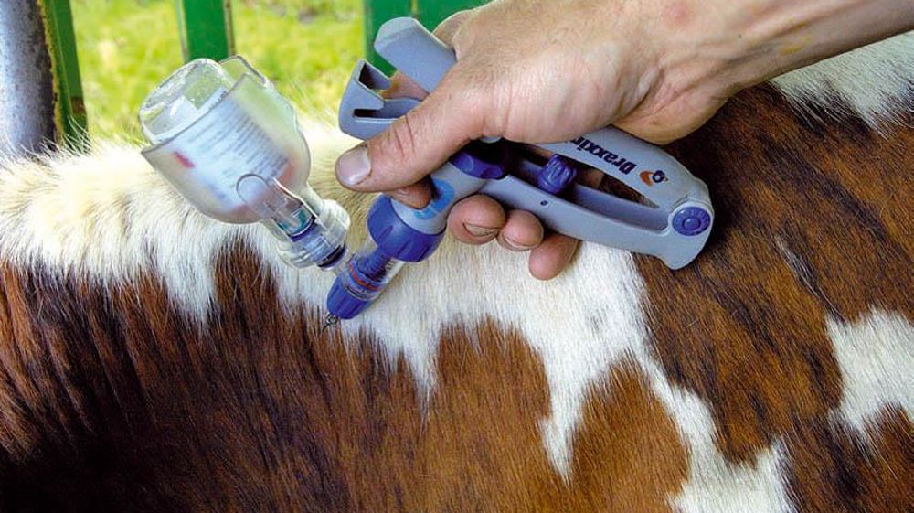 © STÉPHANE LEITENBERGER