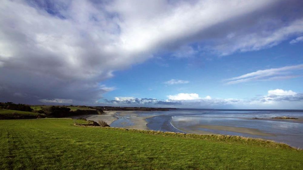 Dans la baie de Saint-Brieuc, 5 000 ha de maïs et de céréales seront convertis en cultures perennes, notamment en luzerne.© BIOSPHOTO / JEAN-FRANÇOIS HELLIO & NICOLAS VAN INGEN