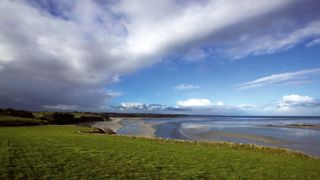 Dans la baie de Saint-Brieuc, 5 000 ha de maïs et de céréales seront convertis en cultures perennes, notamment en luzerne.© BIOSPHOTO / JEAN-FRANÇOIS HELLIO & NICOLAS VAN INGEN Dans la baie de Saint-Brieuc, 5 000 ha de maïs et de céréales seront convertis en cultures perennes, notamment en luzerne.© BIOSPHOTO / JEAN-FRANÇOIS HELLIO & NICOLAS VAN INGEN
