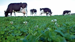 Les coops de l'ouest font pression pour que les sous-réalisations de certaines régions soient produites par d'autres.© THIERRY PASQUET Les coops de l'ouest font pression pour que les sous-réalisations de certaines régions soient produites par d'autres.© THIERRY PASQUET
