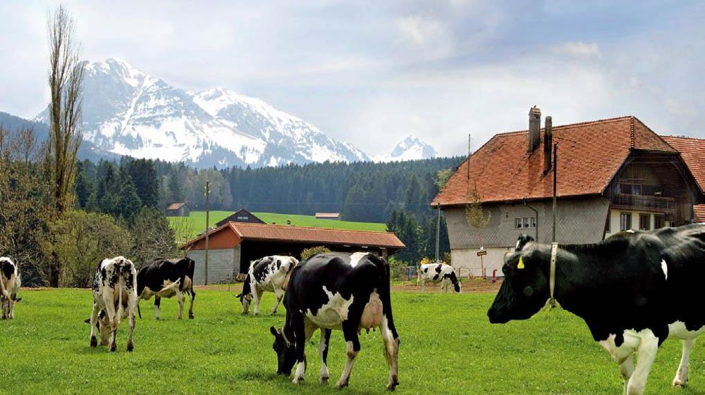 Bas les masques à l'interprofession sous infl uence des transformateurs. Elle prône désormais une régulation par les seuls contrats des entreprises.© ÉLISE REBIFFÉ