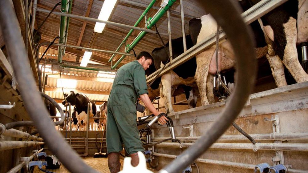 Le débat pourrait s'ouvrir en décembre sur un éventuel remboursement des pénalités en fin de campgne et ainsi permettre de dépasser la barre des 5%.© SÉBASTIEN CHAMPION