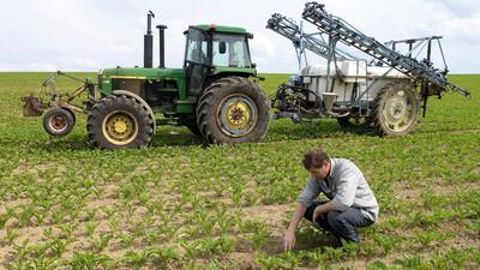 Les échecs de désherbage des dernières années ont conduit les agriculteurs à sécuriser leurs programmes avec des produits plus haut de gamme.S. LEITENBERGER