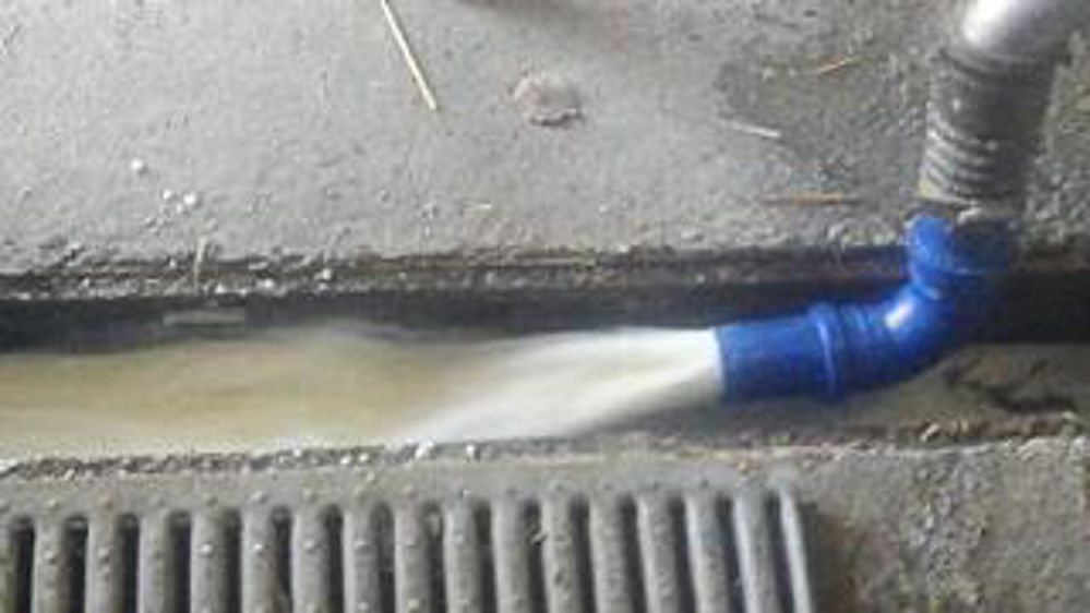 Gâchis. Si une solution n’est pas rapidement trouvée, ce sont bientôt les vaches qui vont partir. 