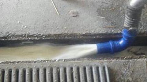 Gâchis. Si une solution n’est pas rapidement trouvée, ce sont bientôt les vaches qui vont partir. 