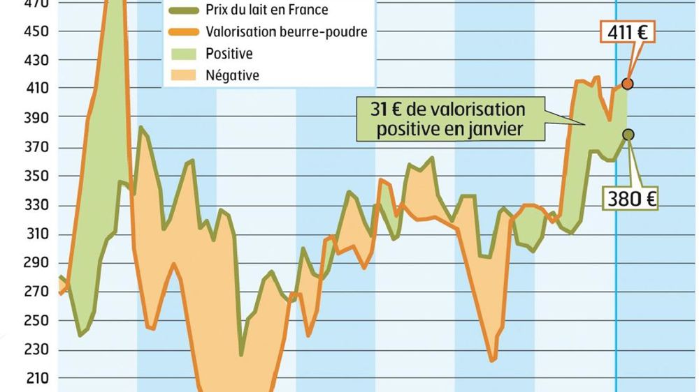 COMMENT INTERPRÉTER CES GRAPHIQUES ? La courbe verte correspond à un prix moyen du lait en France. En janvier, l'estimation d'Atla (Association des transformateurs de lait) l'établit à 380 €/1 000 l. La courbe jaune correspond à la valorisation en beurre et poudre d'un litre de lait collecté. Atla estime qu'elle est à 411 €/1 000 l. En janvier, la valorisation beurre-poudres était supérieure de 31 € au prix moyen du lait payé aux producteurs. Source :FranceAgriMer