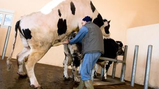 Pour le ministère, la conduite d'un programme de sélection doit s'entendre comme l'orientation des objectifs et la définition des critères de sélection, pas comme la mise en oeuvre du schéma.© CLAUDIUS THIRIET Pour le ministère, la conduite d'un programme de sélection doit s'entendre comme l'orientation des objectifs et la définition des critères de sélection, pas comme la mise en oeuvre du schéma.© CLAUDIUS THIRIET