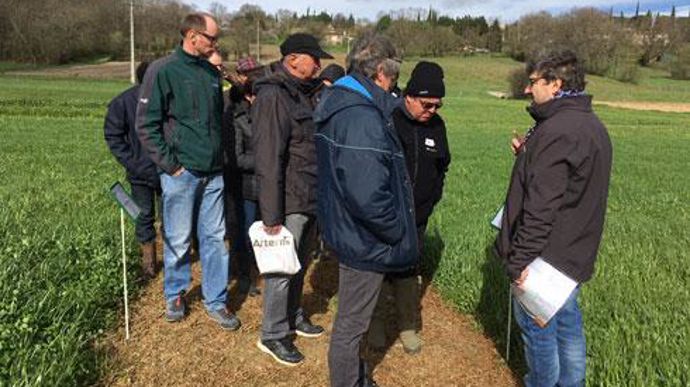 Alain Ferrié (à droite), référent technique d'Arterris pour les plantes fourragères et la conservation des fourrages, a présenté aux éleveurs la plateforme fourragère de toutes les espèces proposées par la coop, semées chez Olivier Cabanac, aux Issards (Ariège). © ARTERRIS Alain Ferrié (à droite), référent technique d'Arterris pour les plantes fourragères et la conservation des fourrages, a présenté aux éleveurs la plateforme fourragère de toutes les espèces proposées par la coop, semées chez Ol