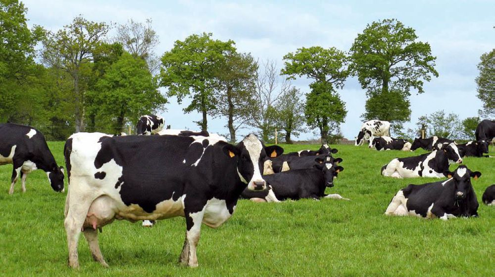 Malgré un accroissement des volumes cette campagne, l'Ouest dispose d'un potentiel inexploité.