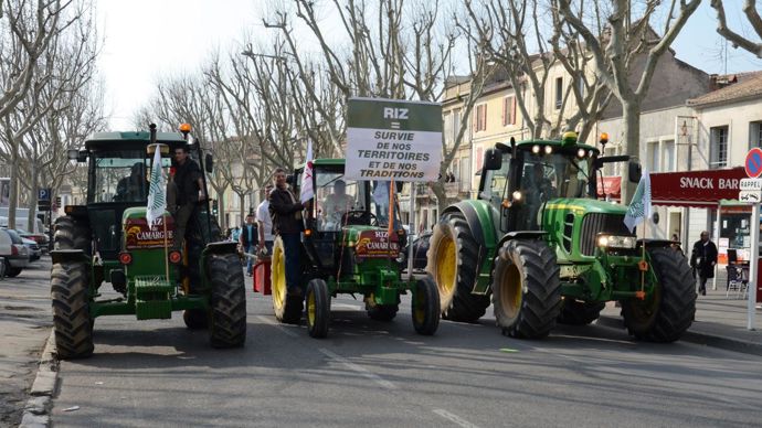 D. BOUNIAS/VILLE D'ARLES