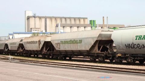 On peut estimer que près de 15 % des céréales françaises sont transportées par le rail. Une moyenne qui monte à 40 % pour l'approvisionnement du port de La Rochelle ou de certaines usines bretonnes d'alimentation animale, et à 50 % pour la livraison des amidonneries.C. THITIET