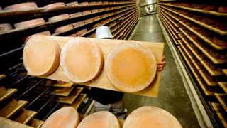 Sur les 2 000 producteurs engagés dans la filière du morbier, 1 900 sont d'abord des producteurs de lait à comté.© CLAUDIUS THIRIET Sur les 2 000 producteurs engagés dans la filière du morbier, 1 900 sont d'abord des producteurs de lait à comté.© CLAUDIUS THIRIET