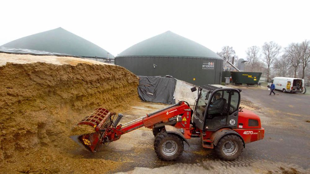Les surfaces en maïs ont progressé de 57 % de 2003 à 2010. Parallèlement, celles en prairies permanentes ont régressé de 5 % de 2003 à 2009.© JEAN-CLAUDE GRELIER