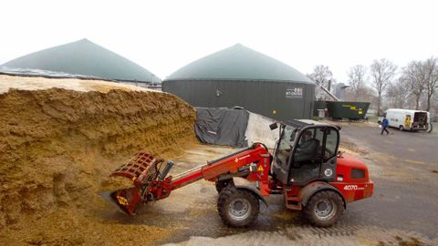 Les surfaces en maïs ont progressé de 57 % de 2003 à 2010. Parallèlement, celles en prairies permanentes ont régressé de 5 % de 2003 à 2009.© JEAN-CLAUDE GRELIER