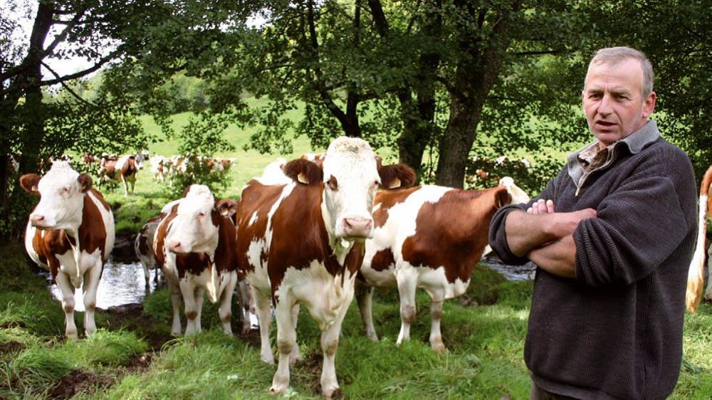 Alors que le déficit fourrager atteint 70 % chez Michel Veschambre, la commune de Cheylade n'est pas encore retenue dans la procédure « calamités ».