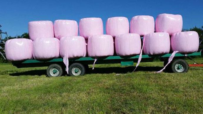 Cette année, chez Vivadour, les balles de foin sont enrubannées en rose, pour soutenir la Ligue contre le cancer dans ses campagnes de détection du cancer du sein. Cette année, chez Vivadour, les balles de foin sont enrubannées en rose, pour soutenir la Ligue contre le cancer dans ses campagnes de détection du cancer du sein.