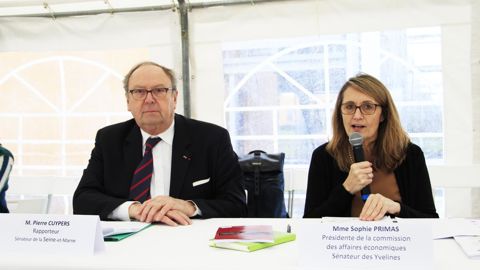 Pierre Cuypers, rapporteur du groupe de travail sur les biocarburants, et Sophie Primas, présidente de la commission des affaires économiques du Sénat.Renaud FOURREAUX