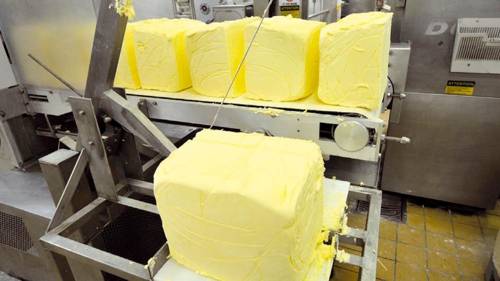 Protégée par ses barrières douanières, l'UE affiche une cotation du beurre à près de 4 000 €/t, soit 1 000 €/t au-dessus du cours mondial.© JEAN-CLAUDE GRELIER/GFA