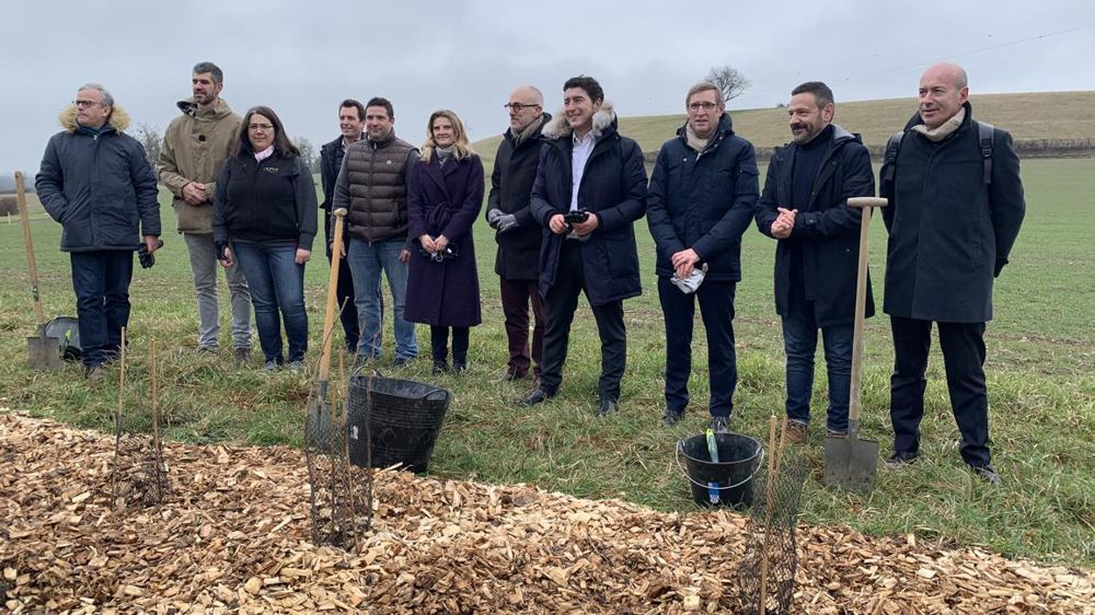 Le 18 janvier, Delphine Smagghe (McDonald’s), Christophe Blaise (Bimbo), Nawfal Trabelsi (McDonald’s), Dominique Chargé (LCA), Jean-Yves Colomb (Oxyane), Christophe Grison (Valfrance) ont planté symboliquement cinq chênes pour inaugurer le nouveau programme de l’enseigne.