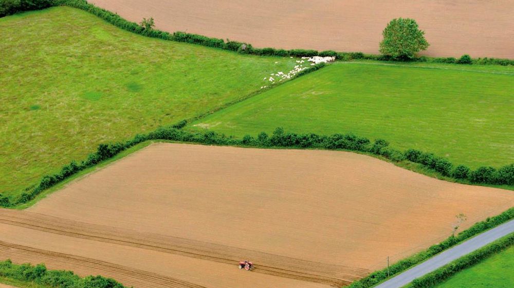 Les parcellaires morcelés augmentent les coûts.© PHILIPPE MONTIGNY/FILIMAGES