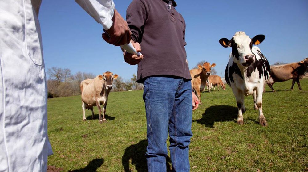 © SÉBASTIEN CHAMPION